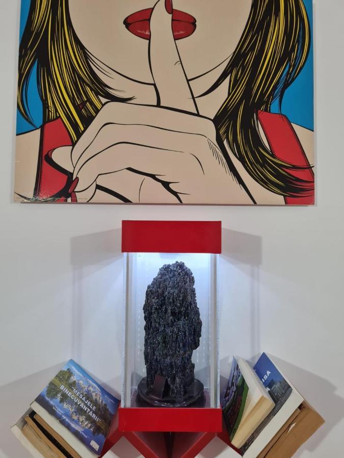 Pensiunea Riccardo 브라쇼브 외부 사진